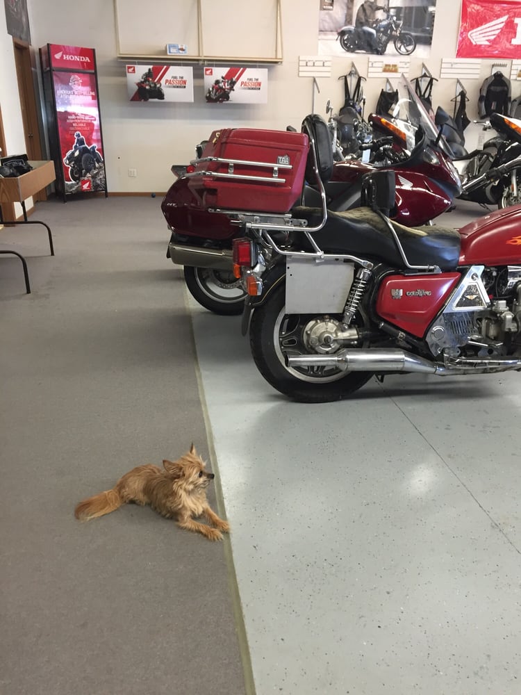 WOODSMEN POWER PRODUCTS Updated October 2024 1209 3rd Ave E, Alexandria, Minnesota