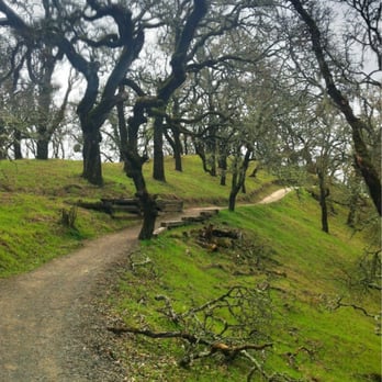 Foothill Regional Park - Hiking Near Me - Windsor, California