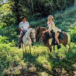 La Vista Rides - Tranquility and beauty of the rainforest