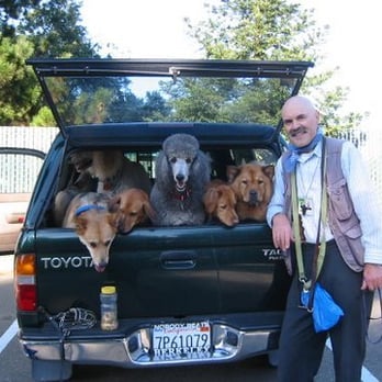 Piedmont Pines Pets - Pet Sitting Near Me Piedmont Pines Pets - Pet Sitting Near Me