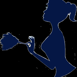 Five Stars Cleaning Services
