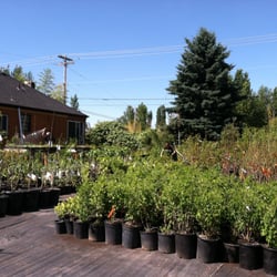 Harvest Nursery