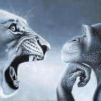 Universal Epic Universe - The tiger is me and I'm being rage baited by universal and the monkey is universal - Amusement Parks Near Me - Orlando, Florida Universal Epic Universe - The tiger is me and I'm being rage baited by universal and the monkey is universal - Amusement Parks Near Me - Orlando, Florida