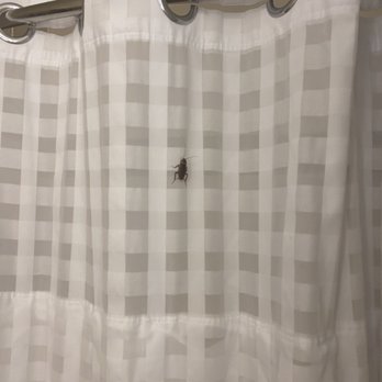 Hilton Newark Airport - Chilling cockroach - Hotels Near Me - Elizabeth, New Jersey Hilton Newark Airport - Chilling cockroach - Hotels Near Me - Elizabeth, New Jersey