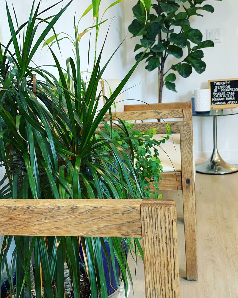 Family Behavioral Health - grief counselor in Sparks, NV