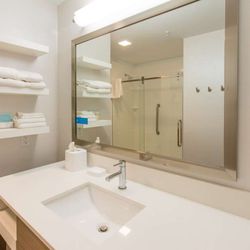 Hampton Inn Palatka - Guest room bath