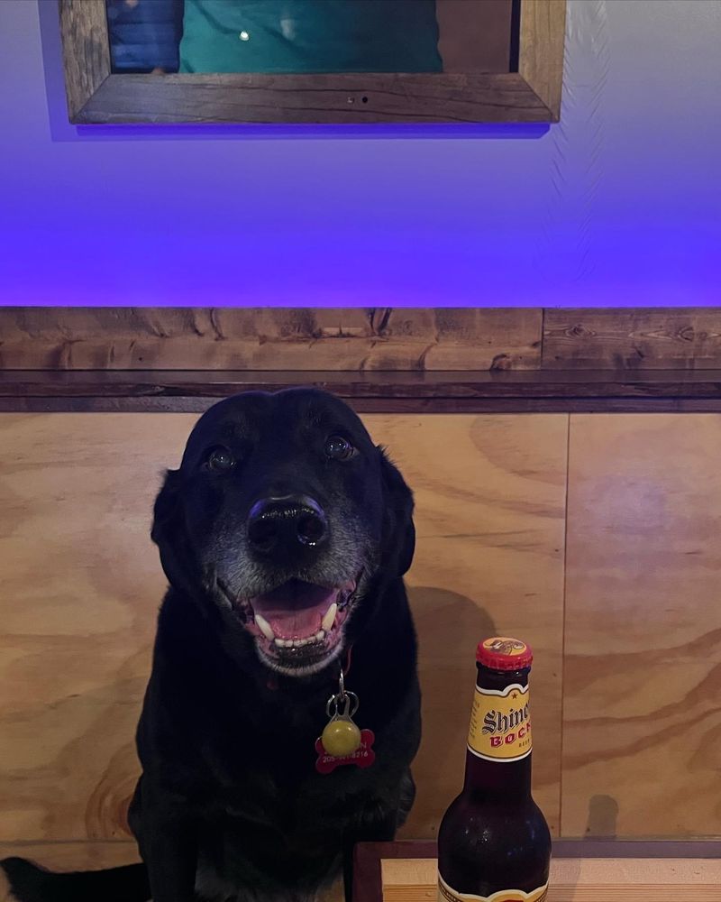 HOPPERS CORNER BAR Updated August 2024 508 Red Drew Ave, Tuscaloosa