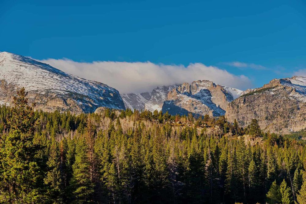 Bear Country Septic Services - septic in Elbert, CO