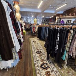 WildRoot Collection