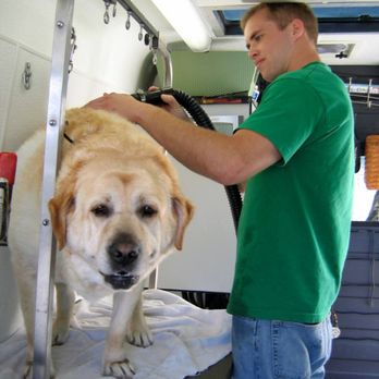 Mission Pawsible Grooming - Pet Groomers Near Me