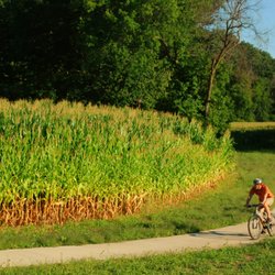 Travel Iowa - Trout Run Trail in Decorah