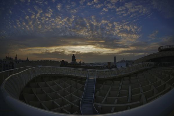 Setas de Sevilla by null