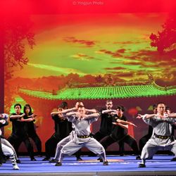 KungFu Dragon USA - Livermore