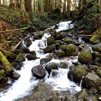 Wallace Falls State Park - Parks Near Me - Gold Bar, Washington Wallace Falls State Park - Parks Near Me - Gold Bar, Washington
