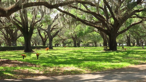 Sylvan Abbey Memorial Park And Funeral Home SYLVAN ABBEY FUNERAL HOME & MEMORIAL PARK - Updated March 2025 - 96