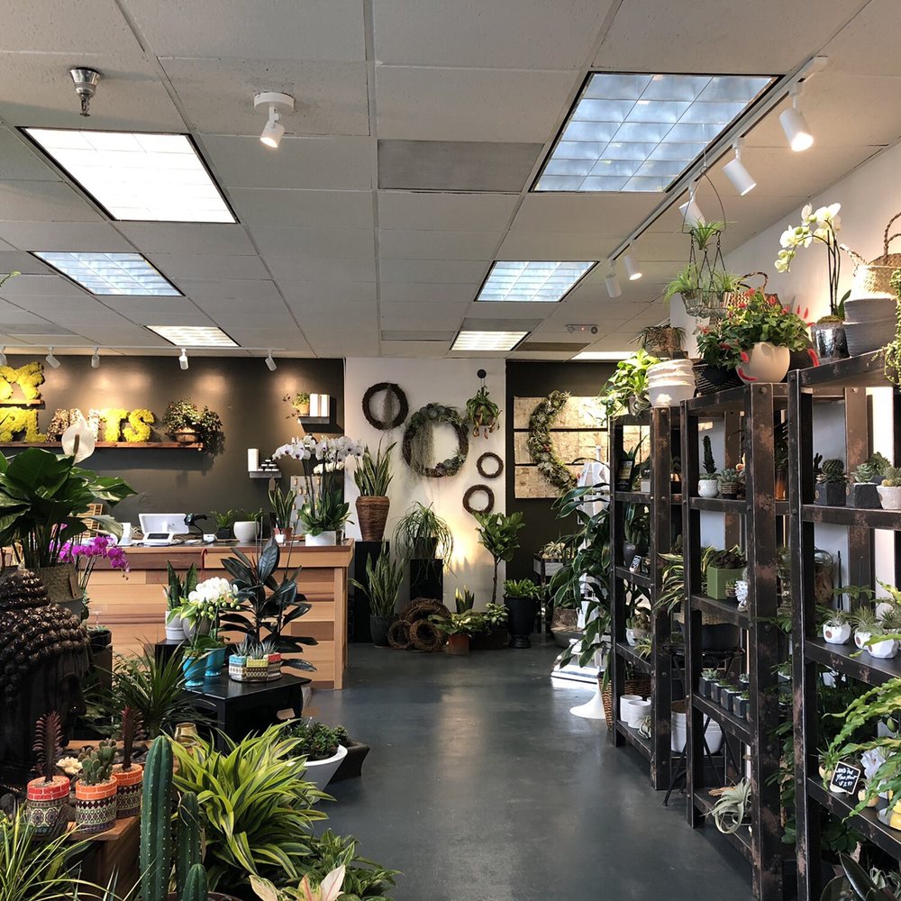 SF Plants - Nurseries & Gardening Near Me - San Francisco, California SF Plants - Nurseries & Gardening Near Me - San Francisco, California