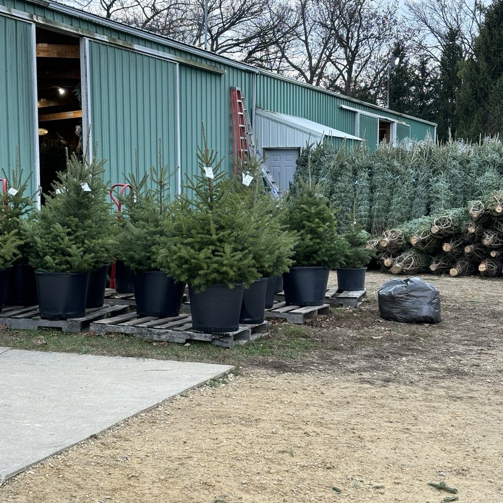 Williams Tree Farm - Pre cuts - Venues & Event Spaces Near Me - Rockton, Illinois Williams Tree Farm - Pre cuts - Venues & Event Spaces Near Me - Rockton, Illinois
