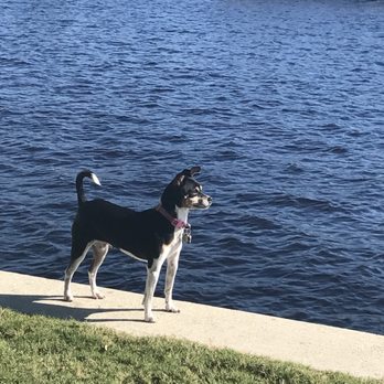 Petas Bea Arthur Dog Park - Dog Parks Near Me - Norfolk, Virginia