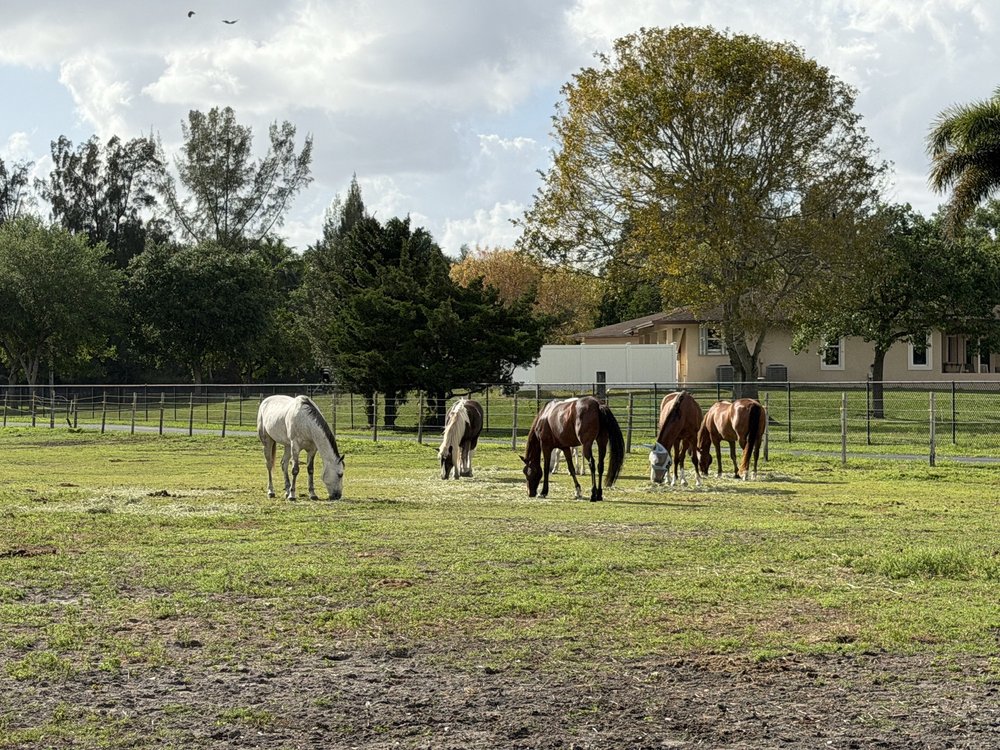 HorseTales Ranch Logo