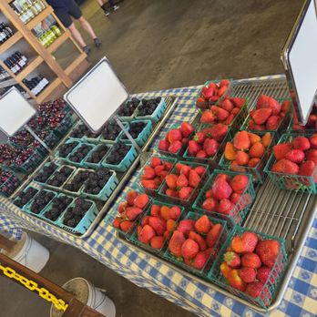 Boa Vista Orchards - Berries! - Fruits & Veggies Near Me - Placerville, California