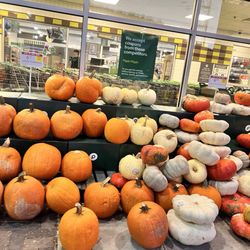 Publix - Pumpkins pumpkins everywhere!!!