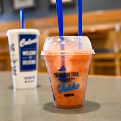 Culver's - Strawberry-Mango Ice
