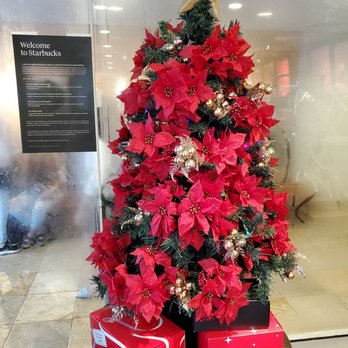 Starbucks - Christmas tree. Pretty poinsettias. - Coffee & Tea Near Me - Honolulu, Hawaii Starbucks - Christmas tree. Pretty poinsettias. - Coffee & Tea Near Me - Honolulu, Hawaii