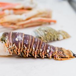 Eastpointe Fish & Chicken - Lobster tails, crab legs, shrimp and much more seafood