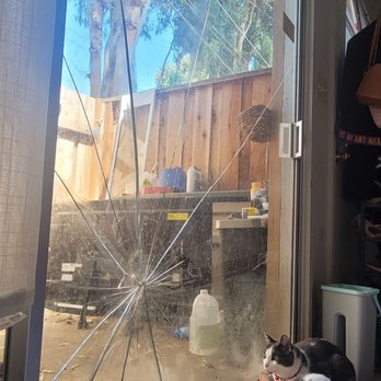 Roxy Glass Company - Before (featuring my cats) - Glass & Mirrors Near Me - Newark, California Roxy Glass Company - Before (featuring my cats) - Glass & Mirrors Near Me - Newark, California