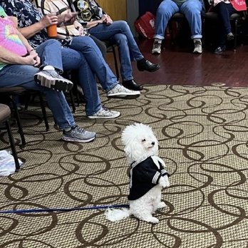 Holiday Inn Express - Miss Lily at a meeting of Vietnam Veteran's - Hotels Near Me - Sanford, Florida Holiday Inn Express - Miss Lily at a meeting of Vietnam Veteran's - Hotels Near Me - Sanford, Florida