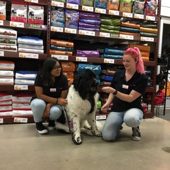 Pet Food Express - Pet Stores Near Me - Oxnard, California
