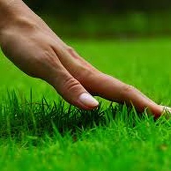 A & L Affordable Landscaping - Landscaping Near Me - Bellmawr, New Jersey A & L Affordable Landscaping - Landscaping Near Me - Bellmawr, New Jersey
