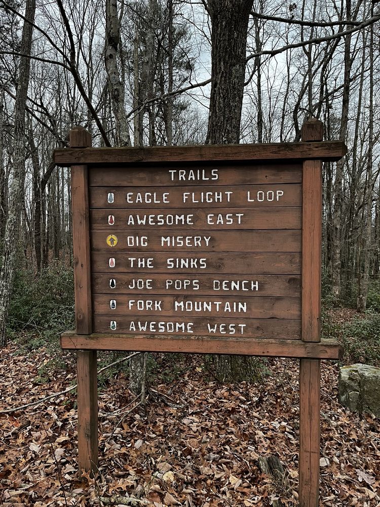 Eagle Flight Park Logo