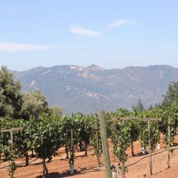 Wine Country Travel - Wine tasting with a view