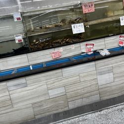 Good Fortune Supermarket - Live seafood
