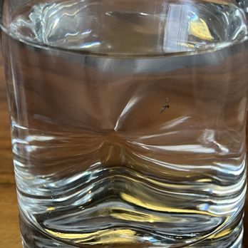 Brim House - Fly in water - American Near Me - Toledo, Ohio