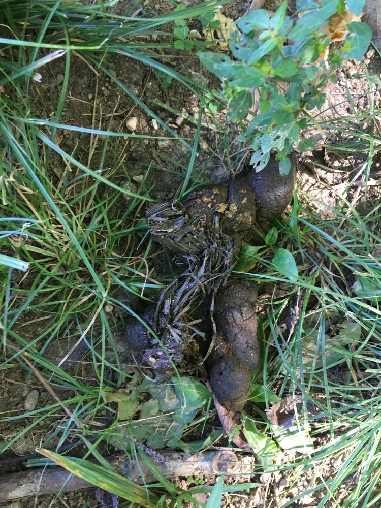 REGAL PARK LUXURY APARTMENTS Updated October 2024 53 Photos 9400 Hurstbourne Park Blvd