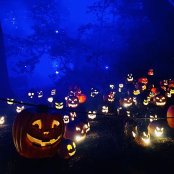 Carved @ Descanso Gardens - MAGICAL PUMPKIN FAIRY FOREST - Yelp Events Near Me - La Cañada Flintridge, California