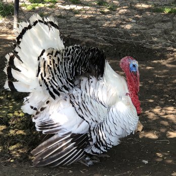 Merced Fruit Barn - Fruits & Veggies Near Me - Merced, California