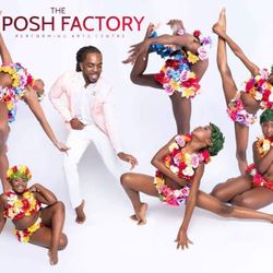 The Posh Factory Performing Arts Centre