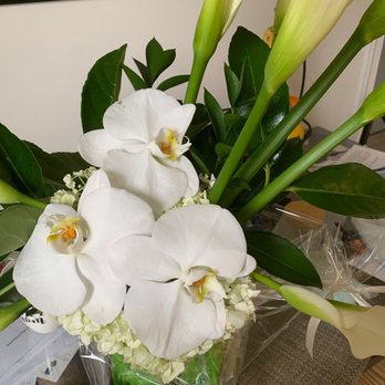 Orchid Flower Shop - Florists Near Me - Philadelphia, Pennsylvania