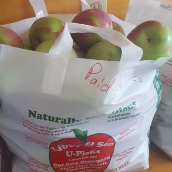 Libby & Son U-Pick - Apple, apples, and apples. - Pick Your Own Farms Near Me - Limerick, Maine