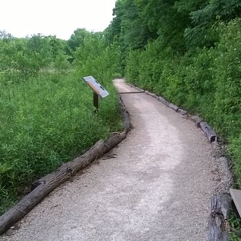 Central Park East Woods - Woodland Trail goes by a prairie though most of the trail is through the forest - Hiking Near Me - Carmel, Indiana