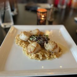 Tallulah Crafted Food & Wine Bar - Scallops over crawfish risotto