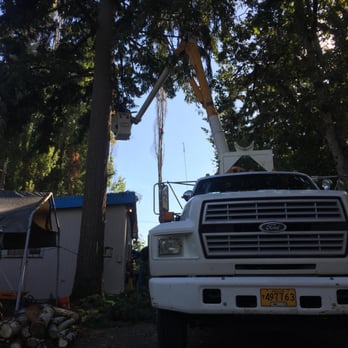 Arbor Now - Tree Services Near Me - Happy Valley, Oregon