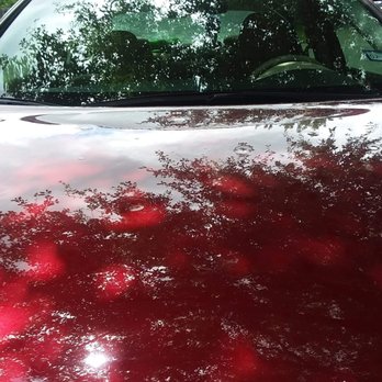 CS Paintless Dent Repair - Hail Damage 2019 - Body Shops Near Me - San Antonio, Texas