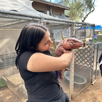 Phoenix Herpetological Society - Fish - Community Service/Non-Profit Near Me