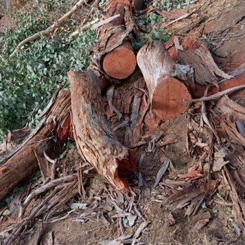 Valley Tree Care - Tree Services Near Me Valley Tree Care - Tree Services Near Me