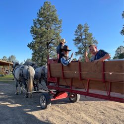 Buckaroos Horse-Drawn Rides - Horse drawn carriage