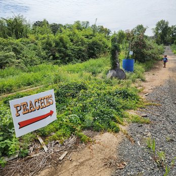 HILLVIEW FARMS - Updated January 2026 - 100 Photos & 66 Reviews - 223